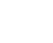 guinea-pig