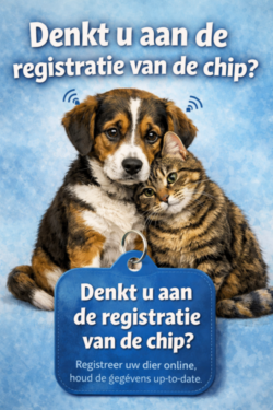 Denk aan juiste registratiegegevens van uw gechipte dier.