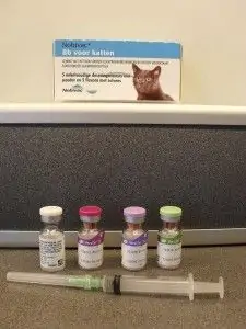 Vaccinaties-kat
