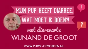 Interview met drs. Wijnand de Groot